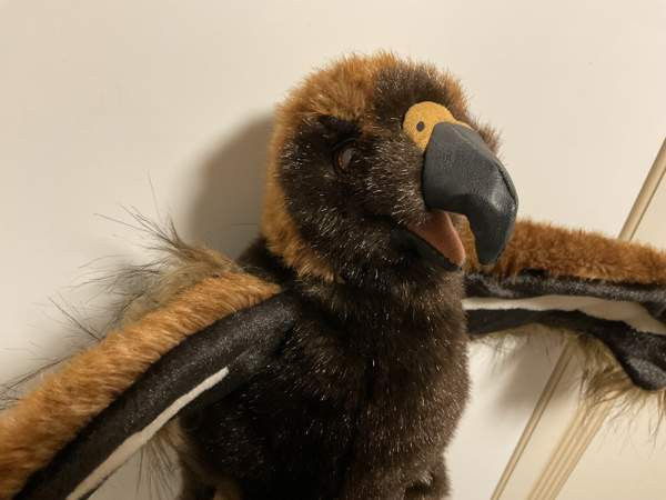 Kotka käsinukke Folkmanis Puppets Hämeenkyrö - valokuva 3