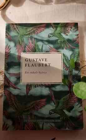 Ett enkelt hjärta - Gustave Flaubert Valkeakoski