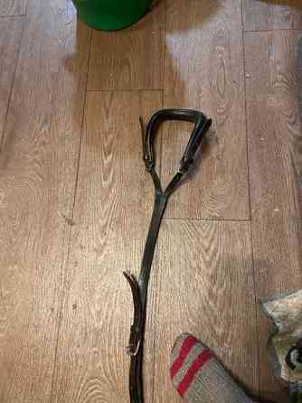 Ponin häntäremmi Ювяскюля