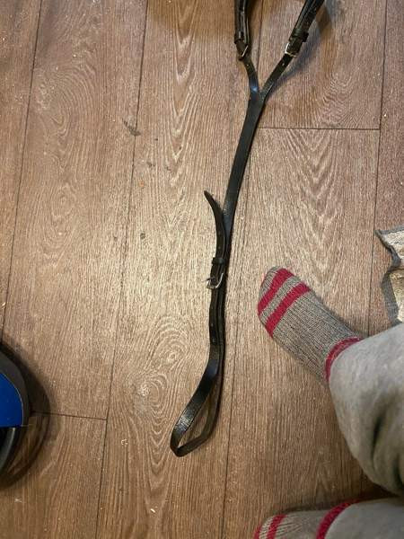 Ponin häntäremmi Ювяскюля - изображение 2