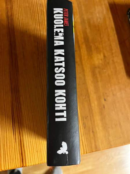 Kuolema katsoo kohti teos Tammela – foto 5