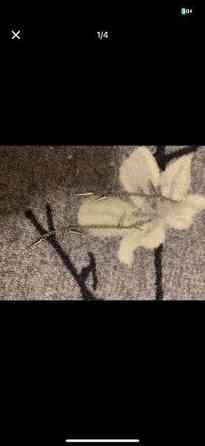 Korvikset ja nenäkoru Joensuu