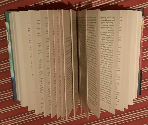 Harry Potter -kirja / englanninkielinen Turku - valokuva 4