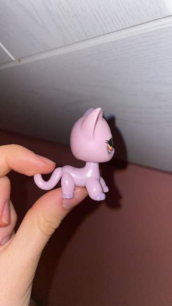 Hyvässä kunnissa oleva seisova lps kissa. Kouvola – foto 2