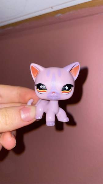 Hyvässä kunnissa oleva seisova lps kissa. Kouvola – foto 1