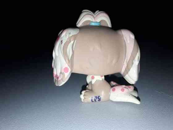 Lps Lhasa apso Jyväskylä