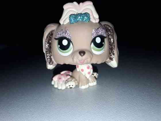 Lps Lhasa apso Jyväskylä