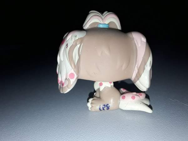 Lps Lhasa apso Jyvaeskylae - photo 2