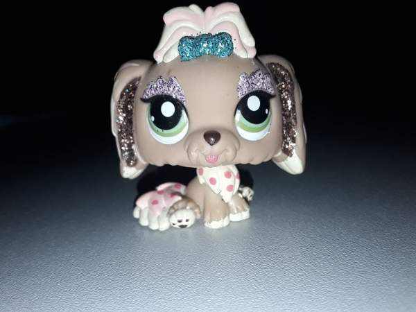 Lps Lhasa apso Jyvaeskylae - photo 1