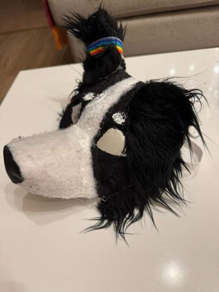 Therian-maski bordercollie Maentsaelae – foto 2