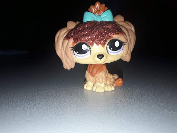 Maltankoira Ювяскюля - изображение 1