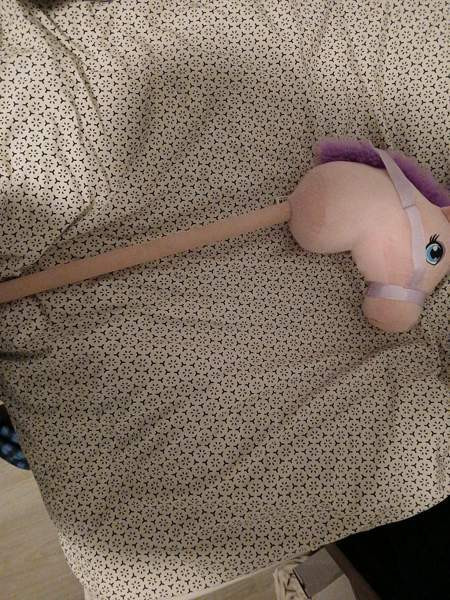 Keppihevonen Rusko - valokuva 4