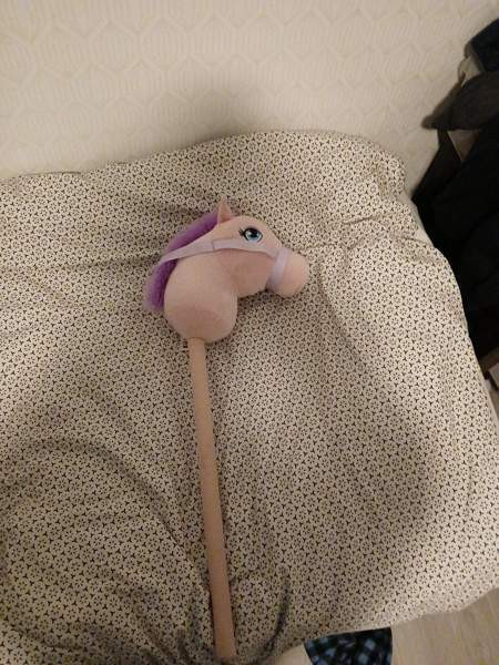 Keppihevonen Rusko - valokuva 2