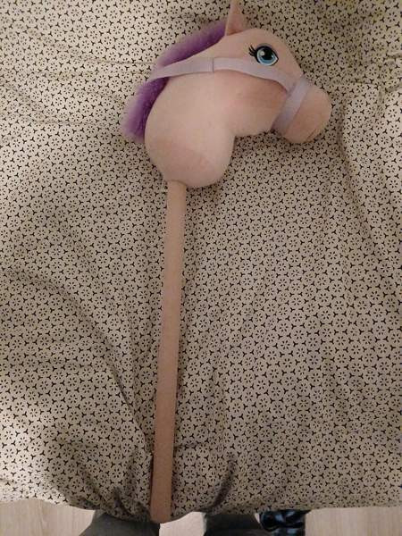 Keppihevonen Rusko - valokuva 5