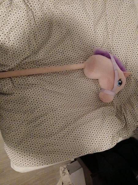 Keppihevonen Rusko - valokuva 3