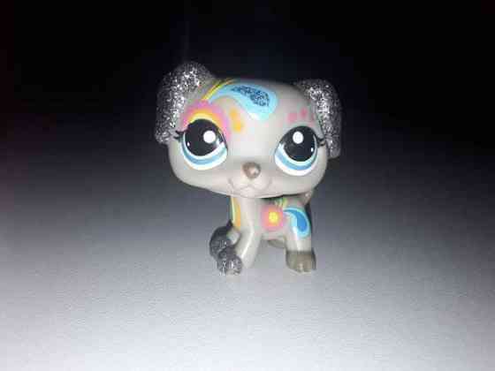 Glitterkoira Jyväskylä