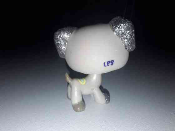 Glitterkoira Jyväskylä