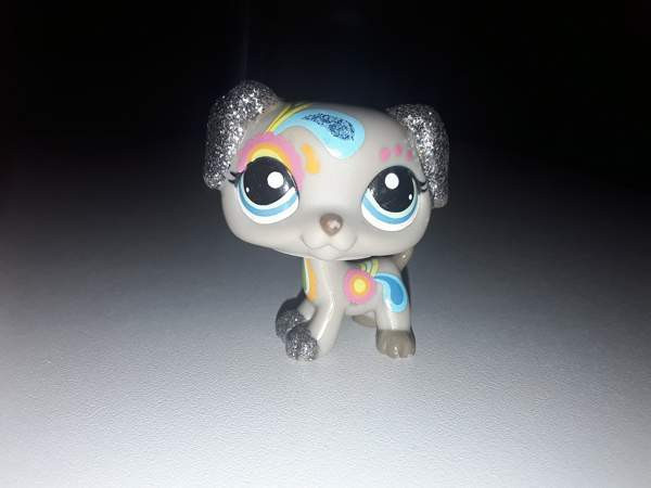 Glitterkoira Ювяскюля - изображение 1