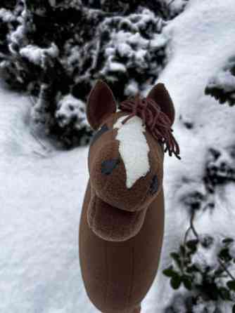 Keppihevonen Mikkeli