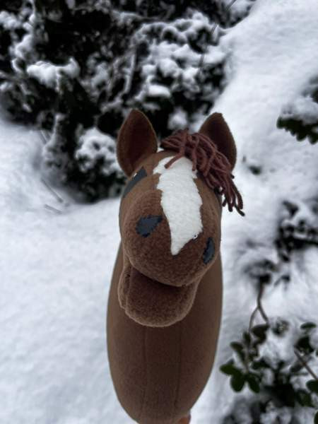 Keppihevonen Миккели - изображение 6