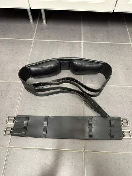 Jalustinvyö Talutusvyö Oulu - valokuva 1