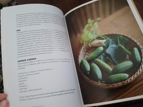 Hapata herkulliseksi Ilomantsi - изображение 4