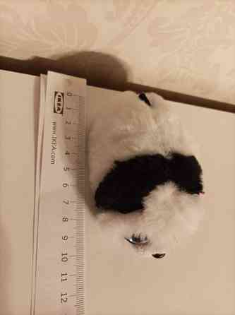 Ty Bamboo Panda 2020 Tampere