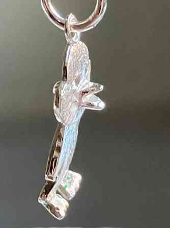 Ankkariipus Helsinki