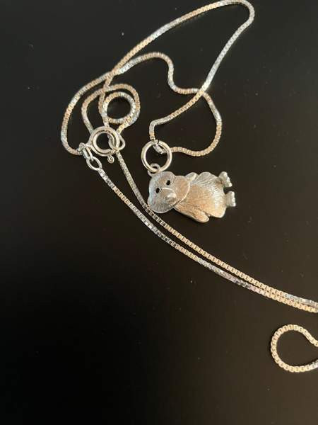 Ankkariipus Helsinki - valokuva 3