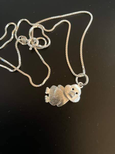 Ankkariipus Helsinki - valokuva 2