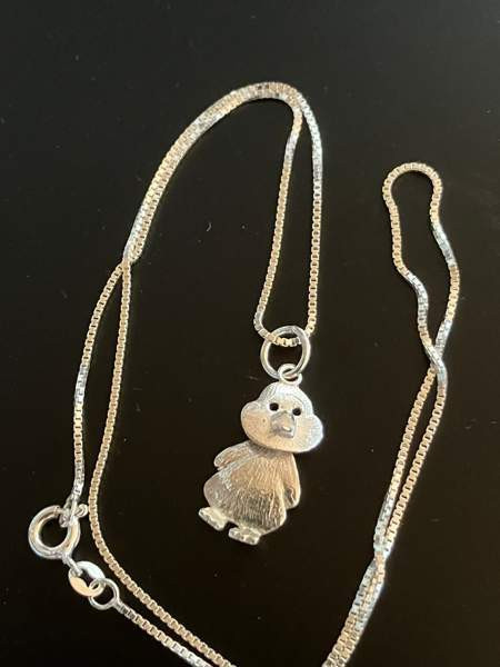 Ankkariipus Helsinki - valokuva 1