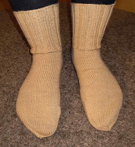 Villasukat 38 Joensuu – foto 1