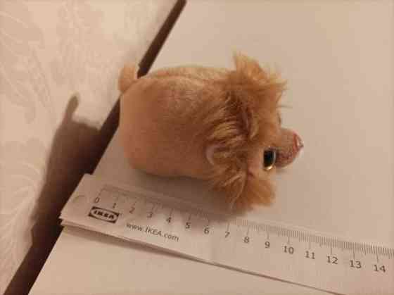 Ty Regal Leijona 2017 Tampere