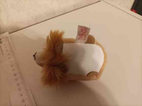 Ty Regal Leijona 2017 Tampere