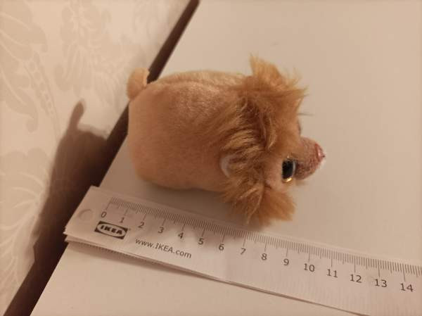 Ty Regal Leijona 2017 Tampere - valokuva 4