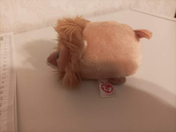 Ty Regal Leijona 2017 Tampere - valokuva 2