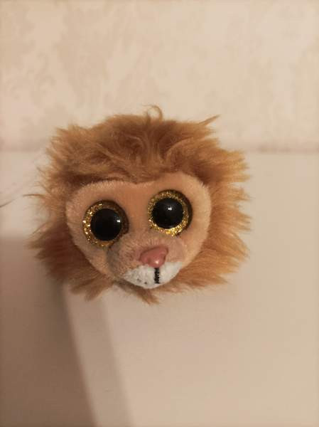 Ty Regal Leijona 2017 Tampere - valokuva 1