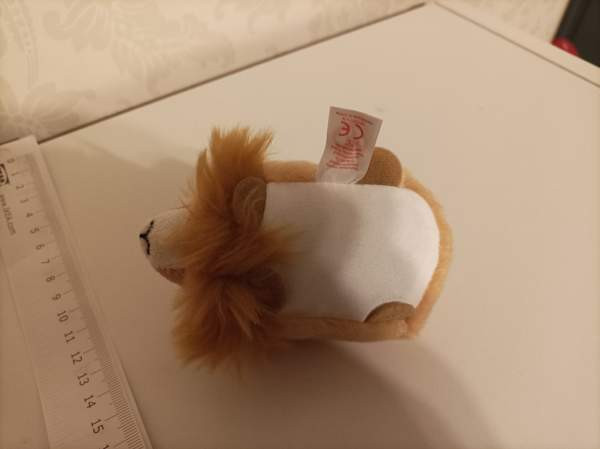 Ty Regal Leijona 2017 Tampere - valokuva 3