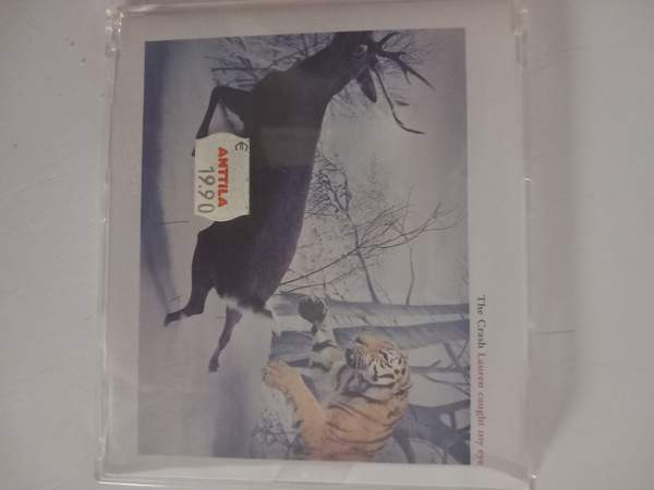 The crash Helsinki - изображение 1