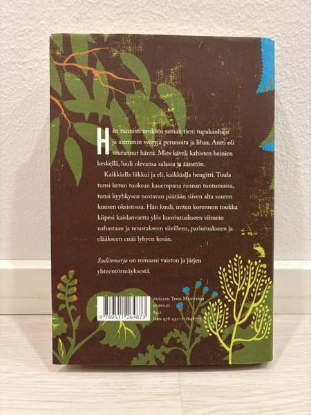 Franzen ja Palmgren Alavus - valokuva 2