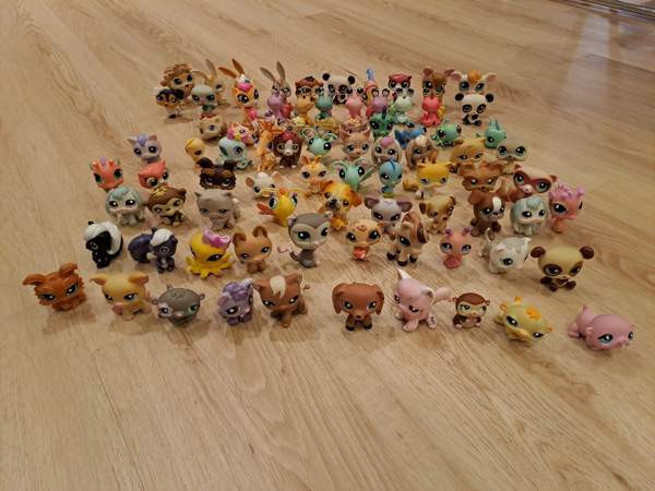 Suuri määrä Petsejä Lahti – foto 1