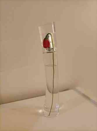 Flower by Kenzo Kouvola