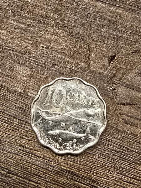 Bahaman 10 senttiä 2016 Jyvaeskylae – foto 1