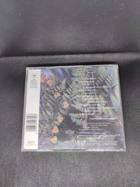 Bangles - Everything - CD Imatra - photo 2
