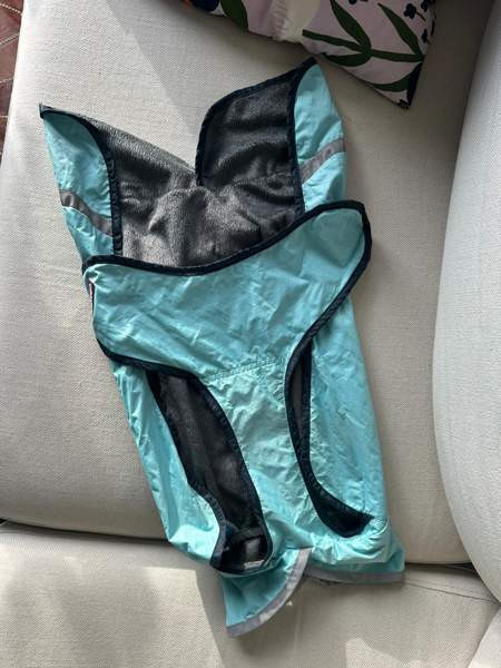 Koiran Pomppa-takki Helsinki - valokuva 5