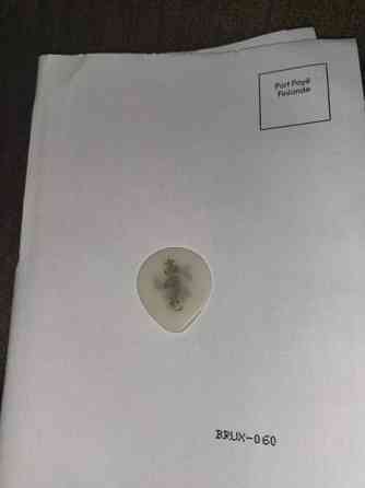 Akira Takasaki (Loudness) plektra Pieksämäki