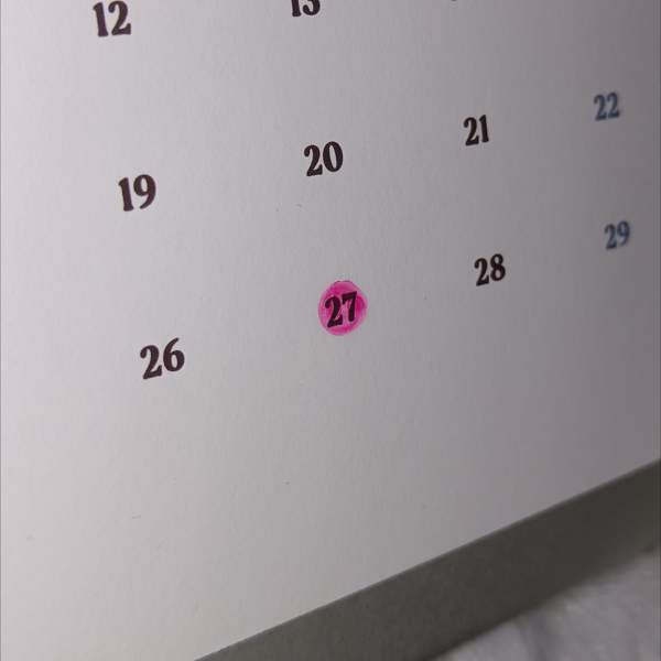 drippin kpop seasons greetings Kotka - valokuva 4