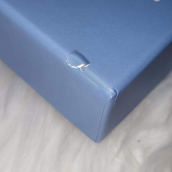 drippin kpop seasons greetings Kotka - valokuva 2