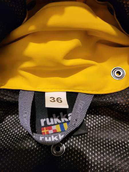 Koiran sadetakki koko 36 rukka Pori - valokuva 4