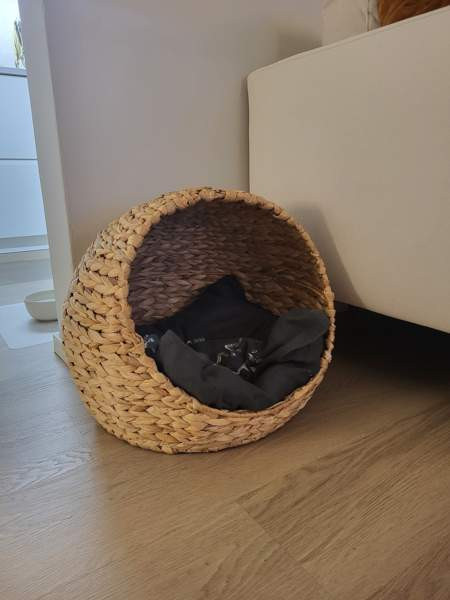 Rottinkikoppa Espoo – foto 1